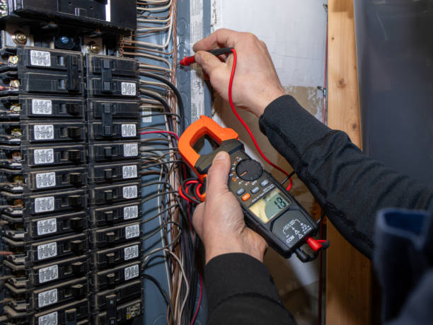Best Ceiling Fan Installation Electrician  in Susanville, CA